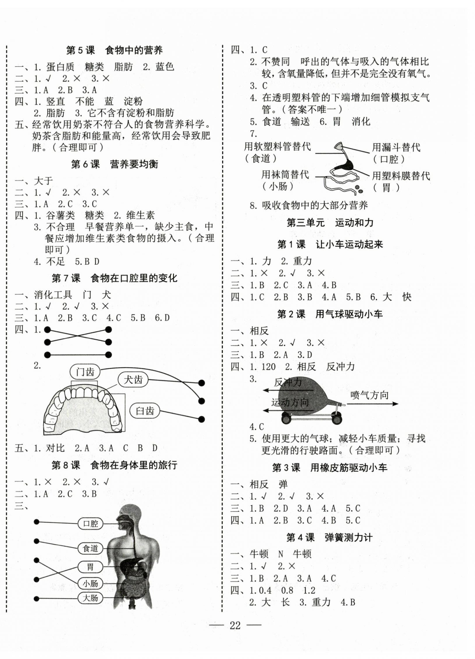 2024年科学速记大通关四年级上册教科版 第2页