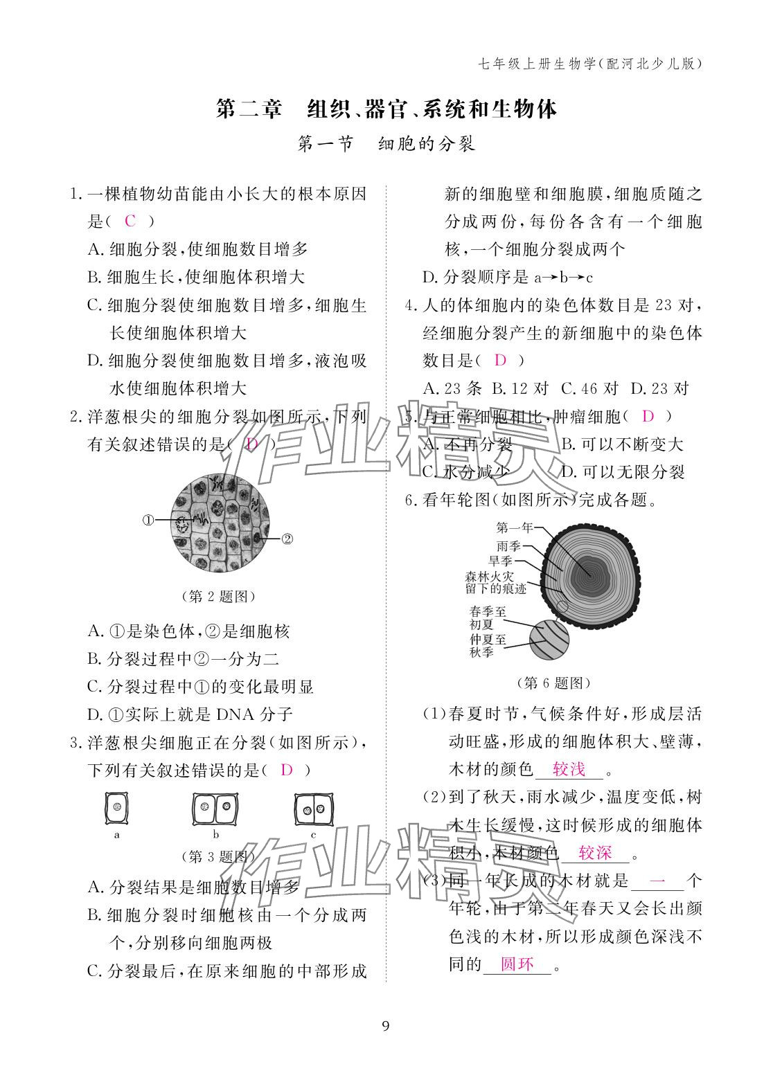 2025年作业本江西教育出版社七年级生物上册冀少版&nbsp;参考答案第9页