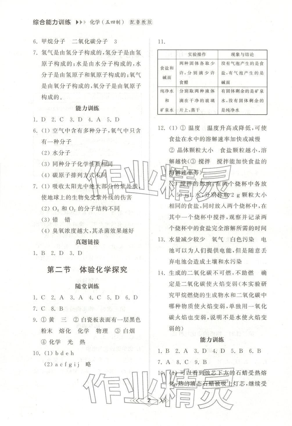 2025年综合能力训练八年级化学上册鲁教版 第2页