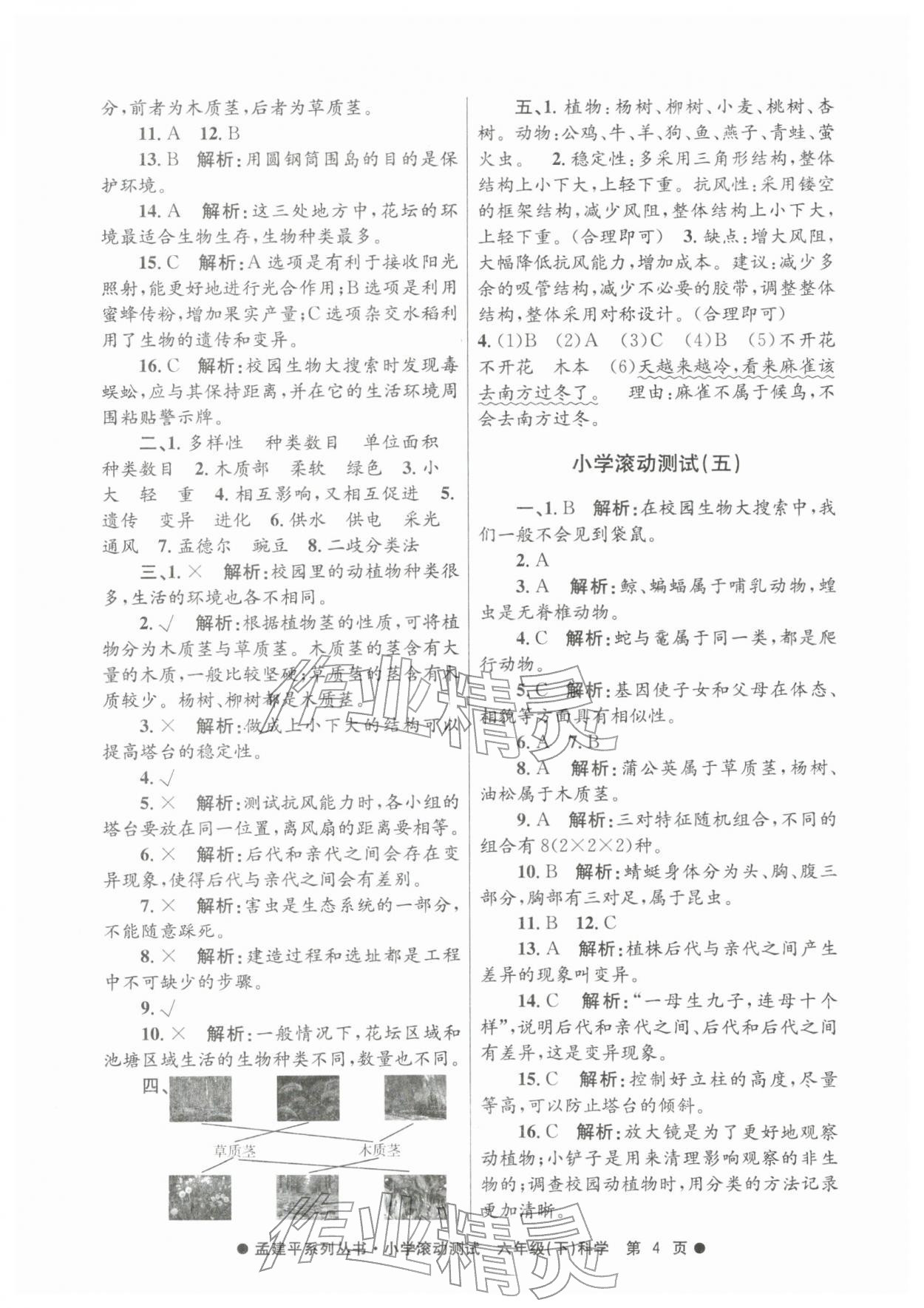2026年孟建平小学滚动测试六年级科学下册教科版&nbsp;第4页