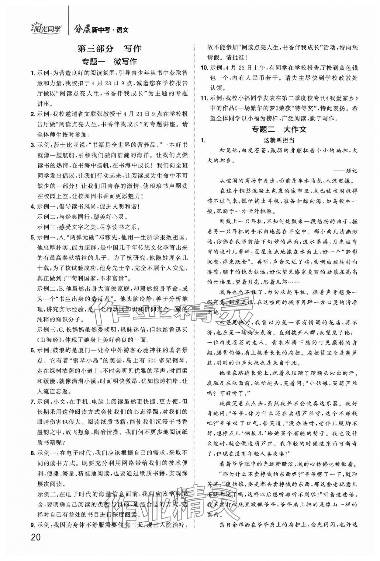 2024年陽光同學(xué)分層新中考語文福建專版 參考答案第20頁