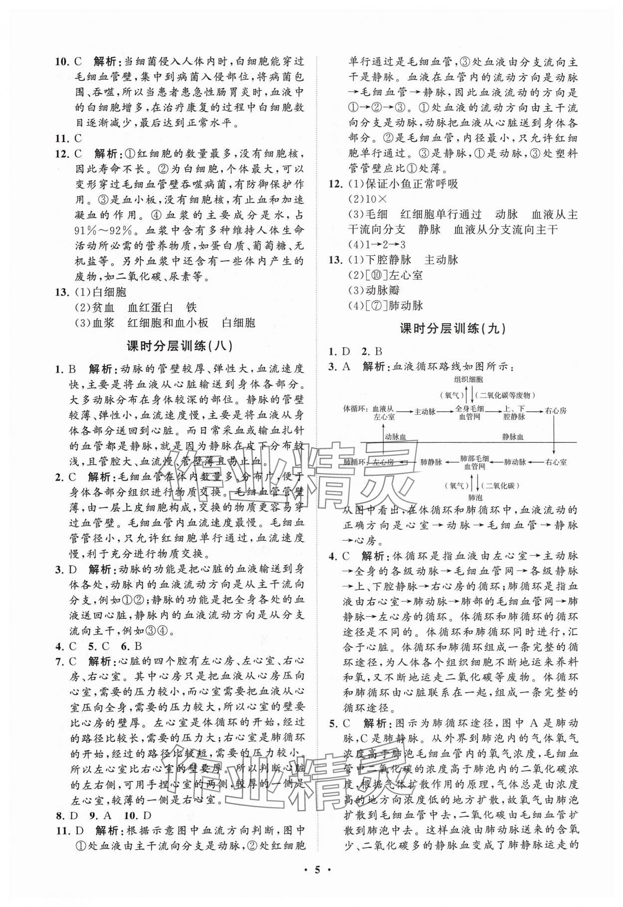 2024年同步練習冊分層卷七年級生物下冊濟南版 參考答案第5頁