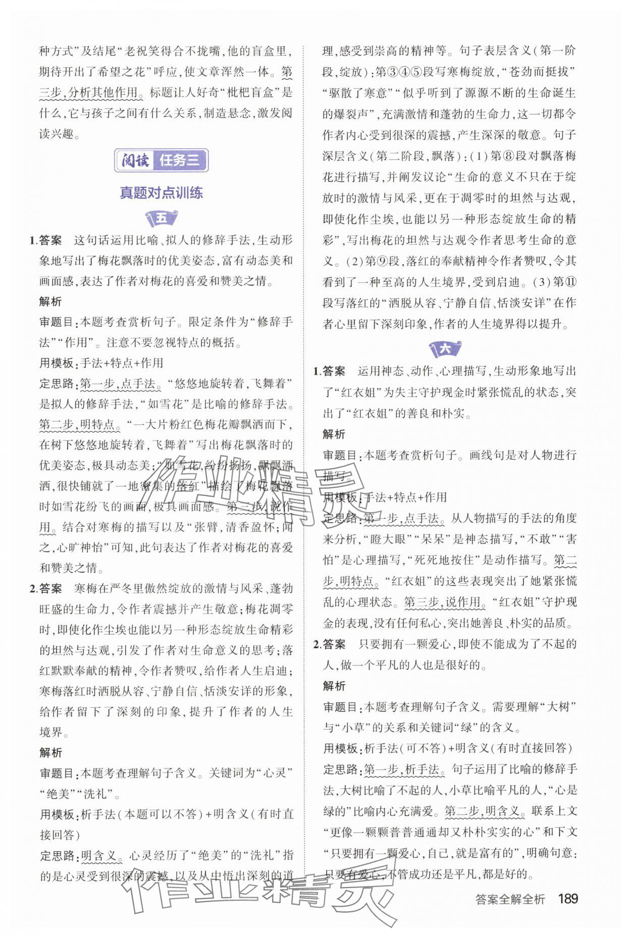 2025年53语文现代文阅读加古诗文阅读中考&nbsp;第3页