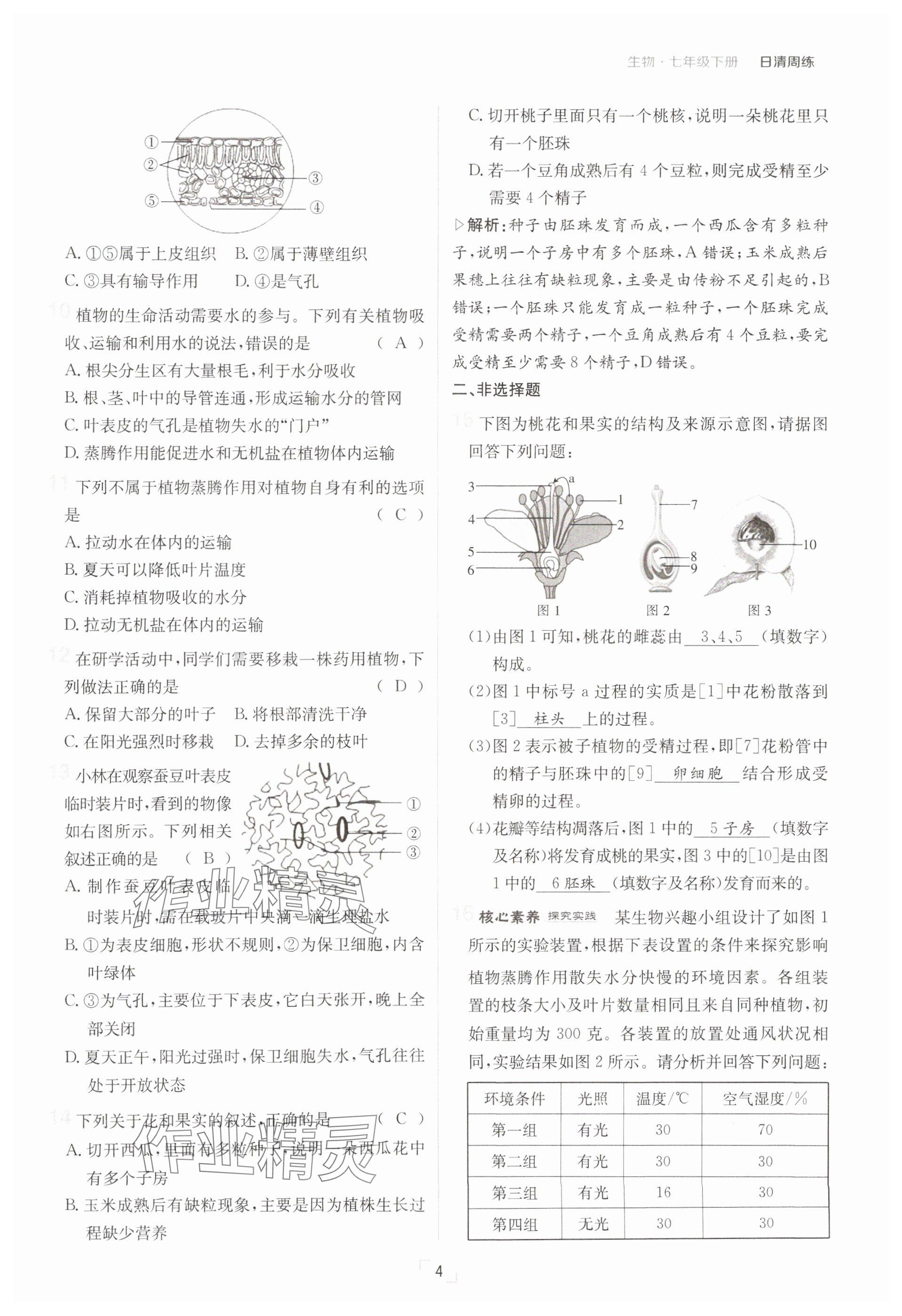 2025年日清周練七年級(jí)生物下冊(cè)人教版 參考答案第4頁(yè)