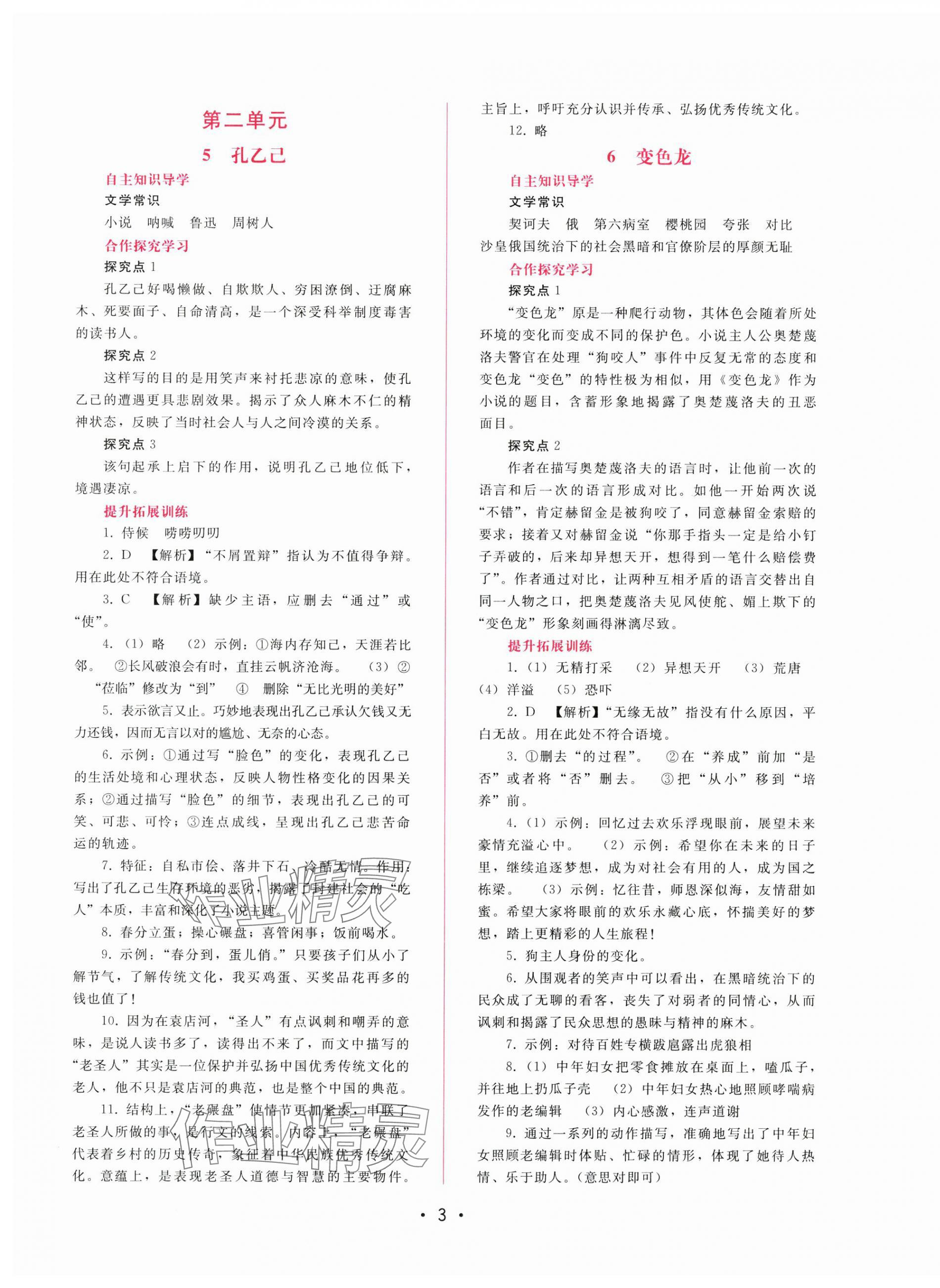 2025年新課程學(xué)習(xí)輔導(dǎo)九年級語文下冊人教版 第3頁