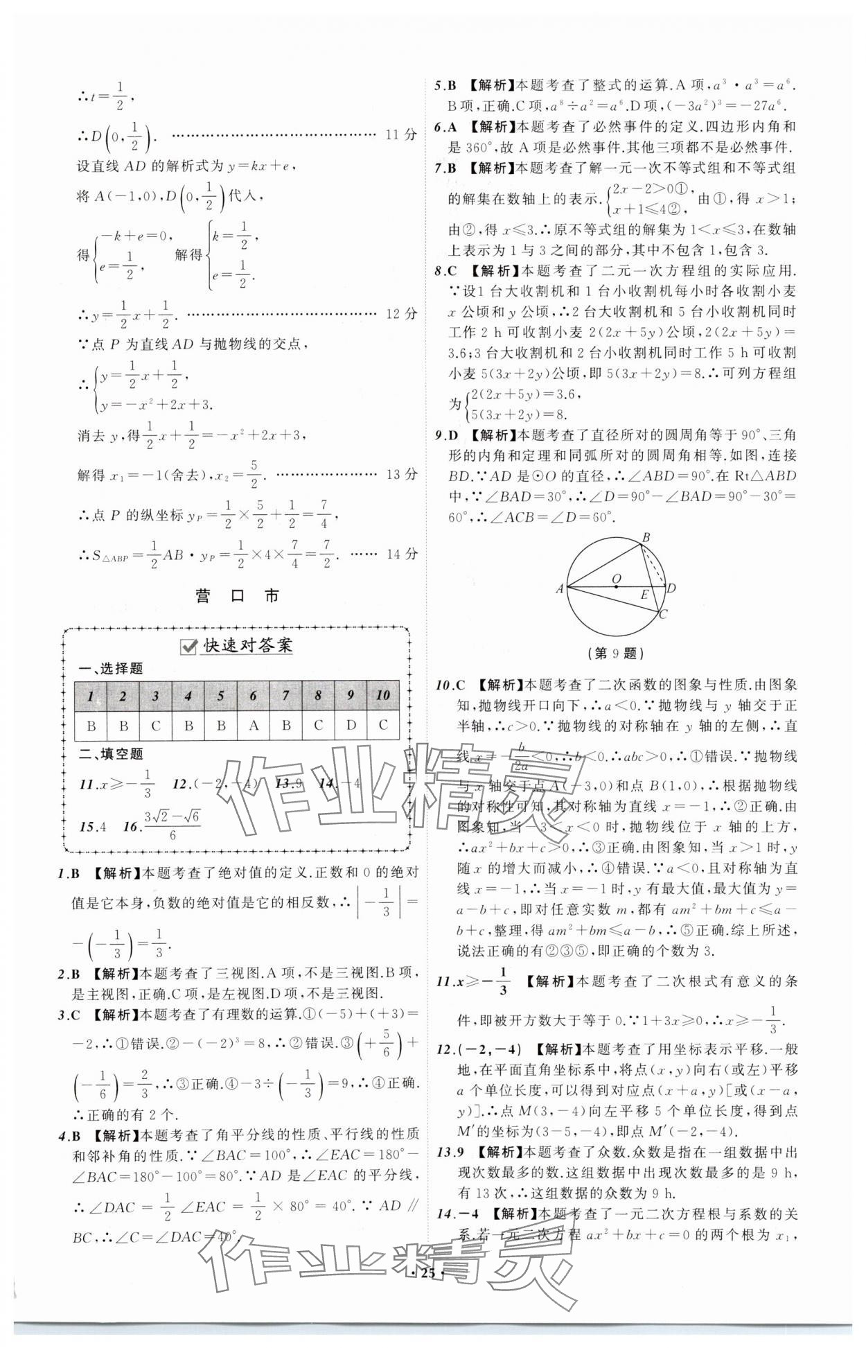 2024年中考必備遼寧師范大學(xué)出版社數(shù)學(xué)遼寧專版 參考答案第25頁