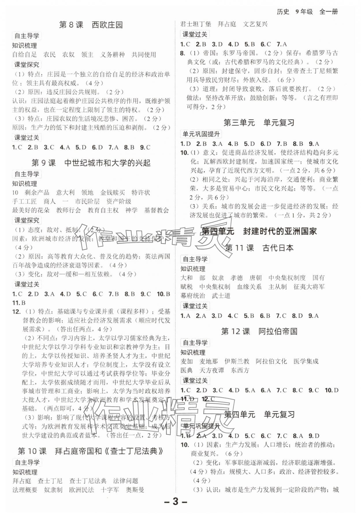 2025年全程突破九年級(jí)歷史全一冊(cè)人教版 第3頁(yè)