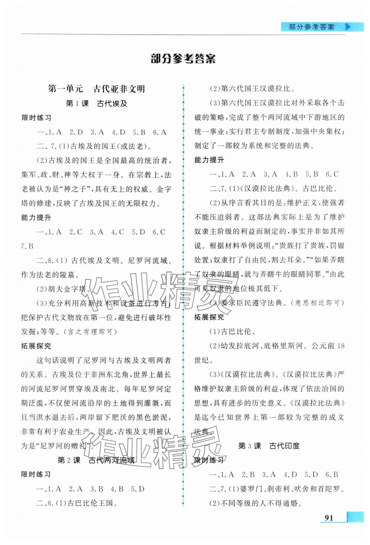 2025年名师点拨配套练习课时作业九年级历史上册人教版 第1页
