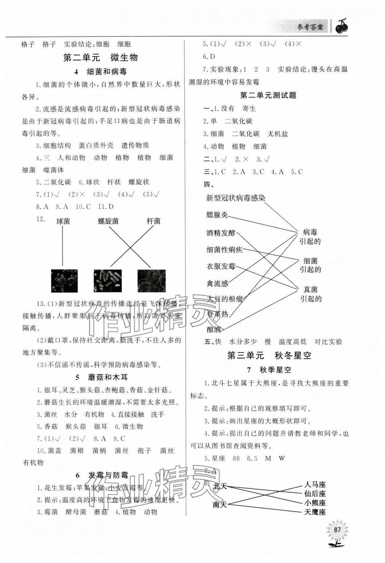 2023年同步練習(xí)山東文藝出版社六年級科學(xué)上冊青島版 參考答案第2頁