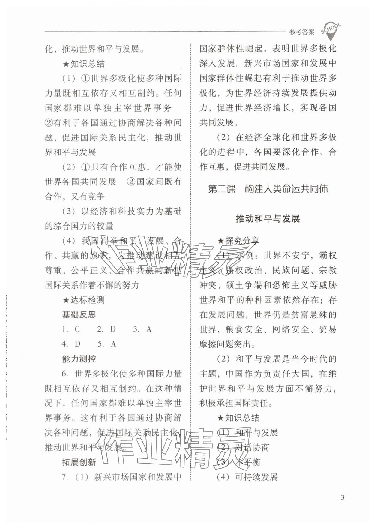 2024年新課程問題解決導(dǎo)學(xué)方案九年級道德與法治下冊人教版 參考答案第3頁