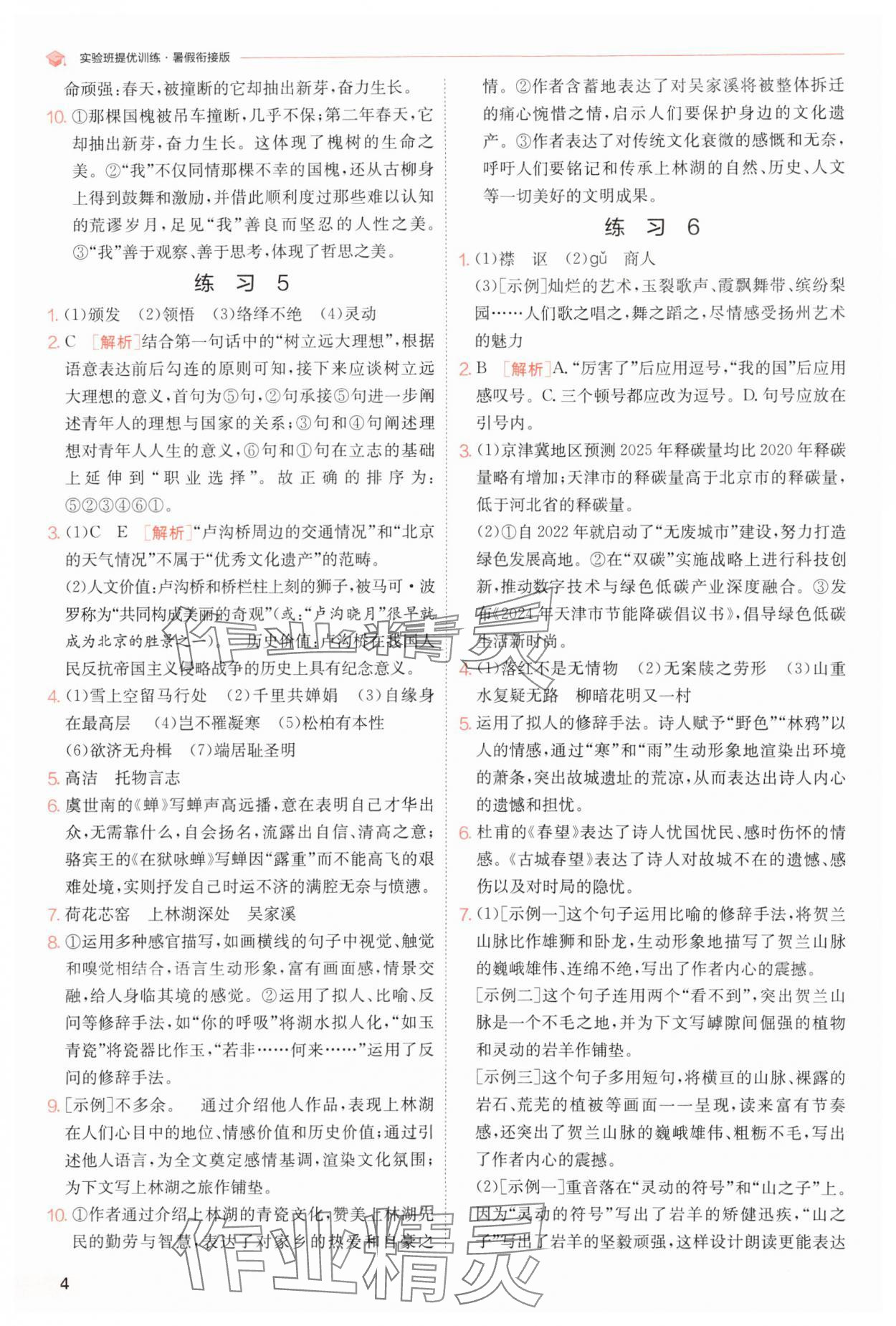 2025年實(shí)驗(yàn)班提優(yōu)訓(xùn)練暑假銜接版八升九年級(jí)語(yǔ)文人教版 第4頁(yè)