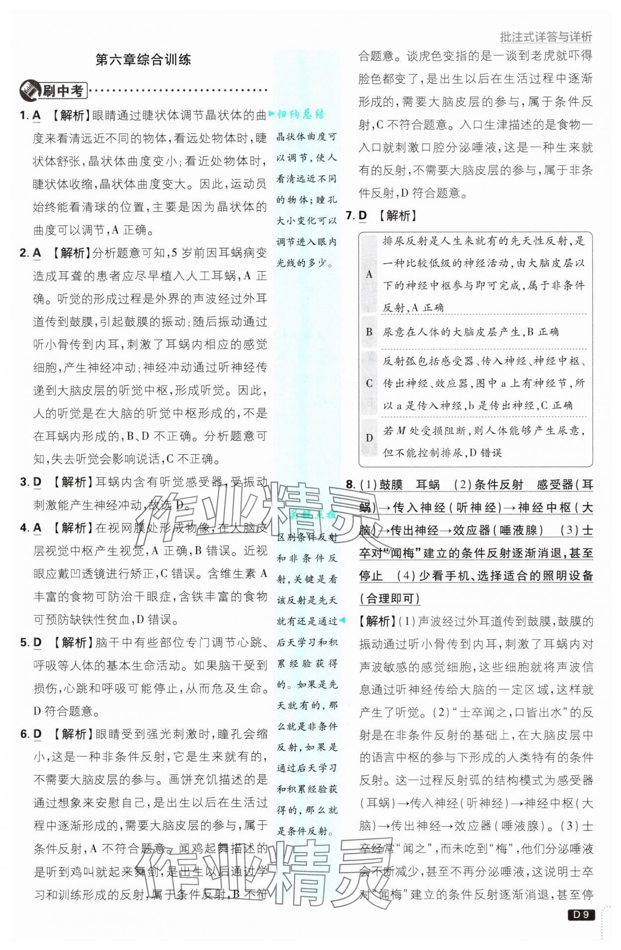 2025年初中必刷題八年級生物上冊人教版 第9頁