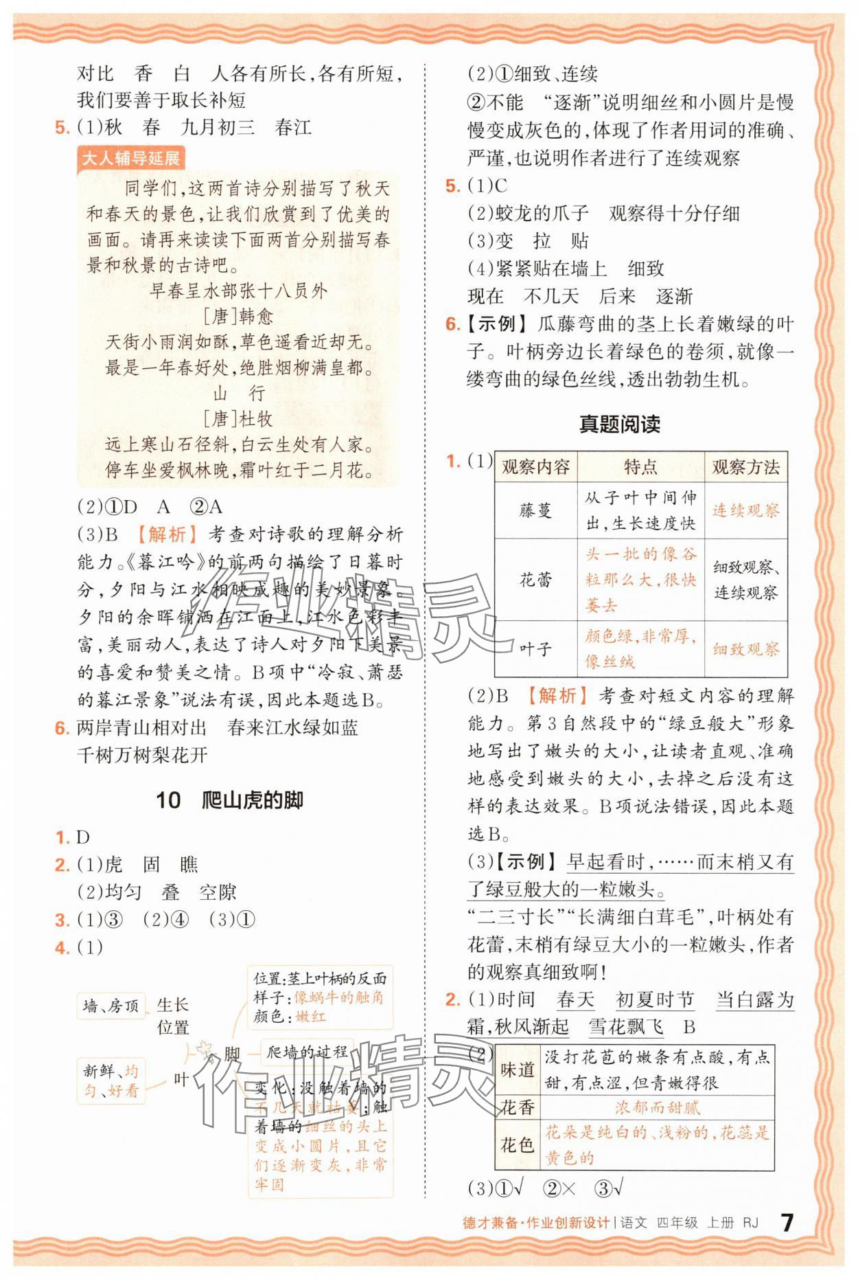 2025年王朝霞德才兼?zhèn)渥鳂I(yè)創(chuàng)新設(shè)計(jì)四年級(jí)語文上冊(cè)人教版 第7頁
