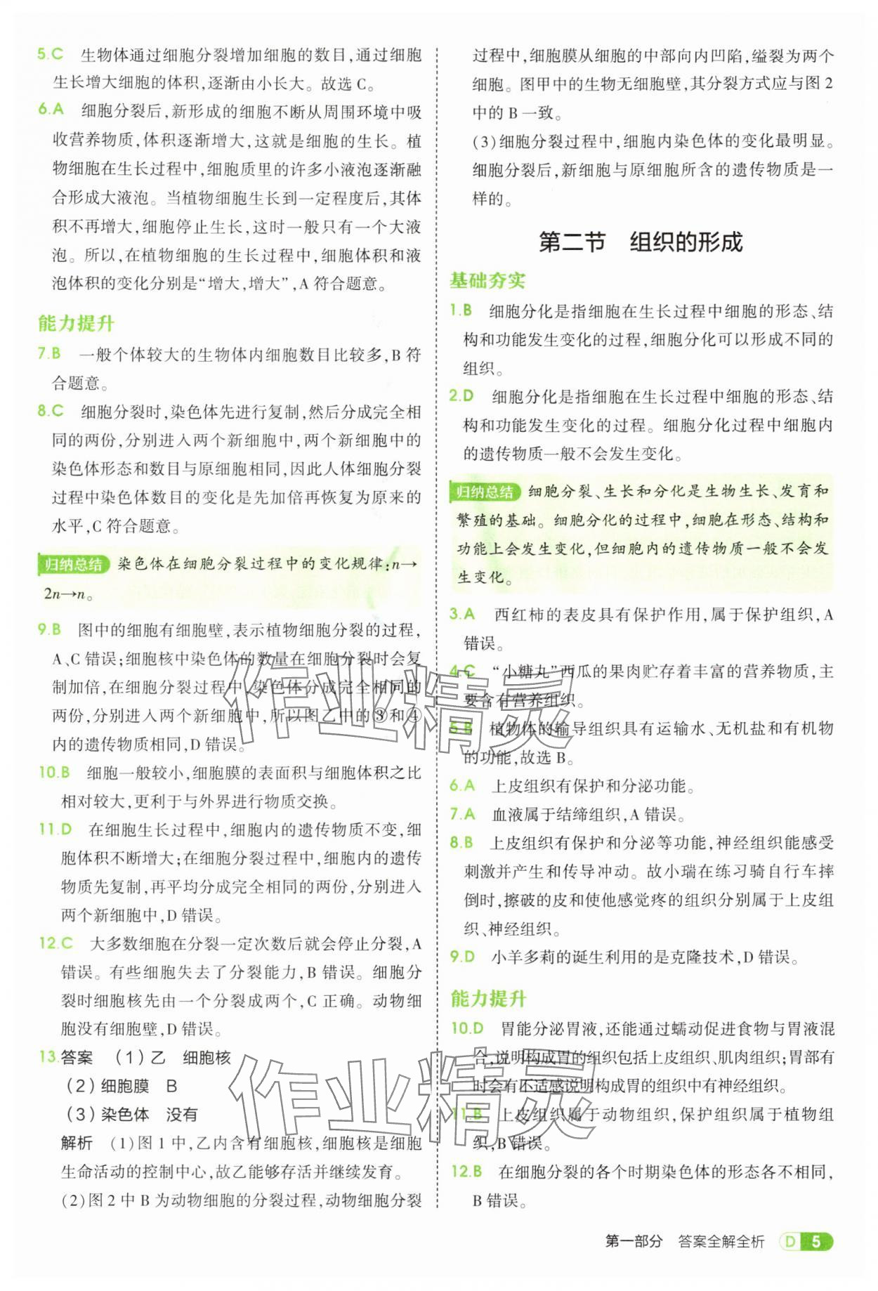 2025年5年中考3年模拟七年级生物上册冀少版 第5页