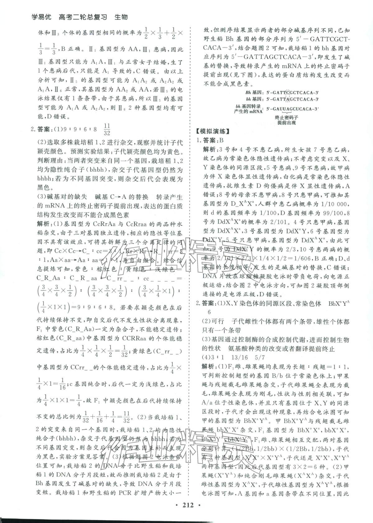 2026年學(xué)易優(yōu)高考二輪總復(fù)習(xí)生物&nbsp;參考答案第16頁