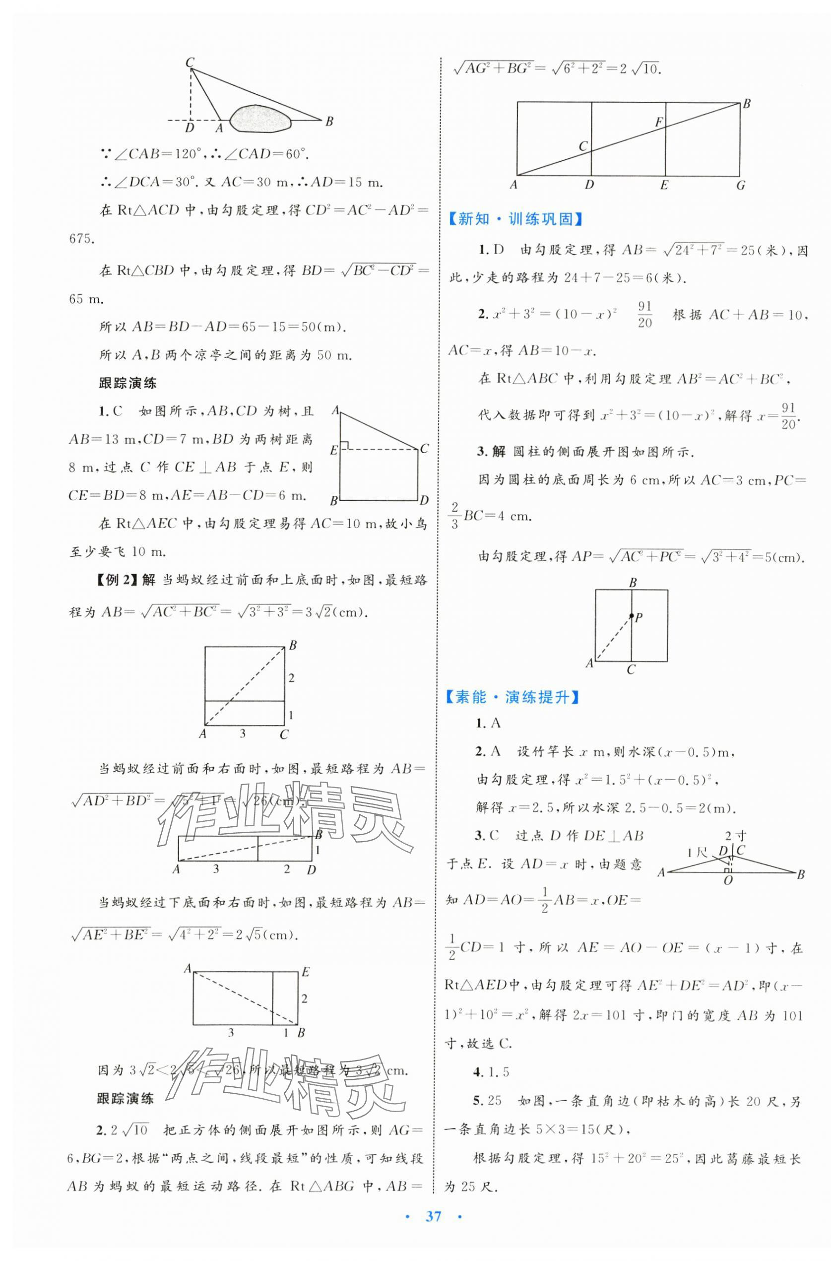 2024年同步學(xué)習(xí)目標(biāo)與檢測八年級數(shù)學(xué)下冊人教版 第9頁