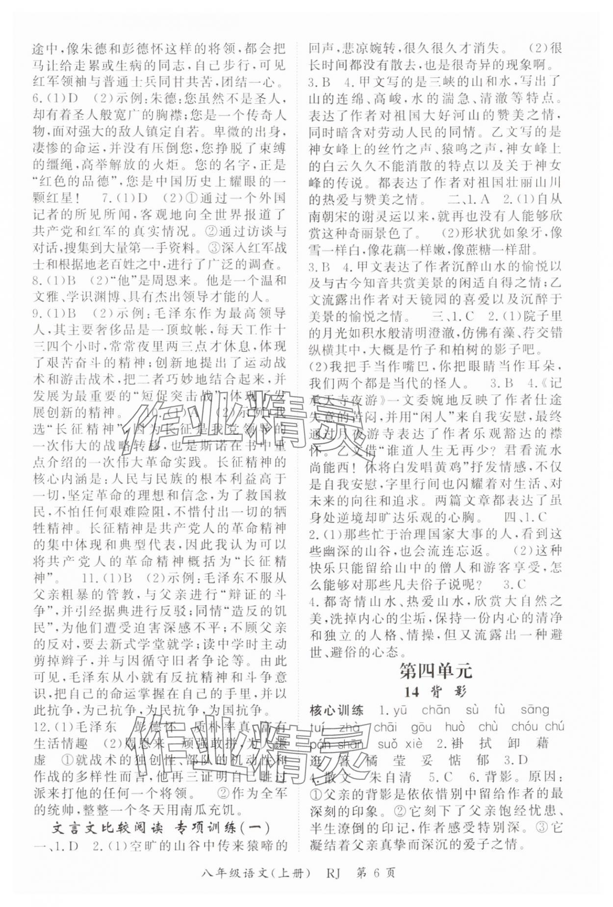 2024年啟航新課堂八年級(jí)語(yǔ)文上冊(cè)人教版 參考答案第6頁(yè)