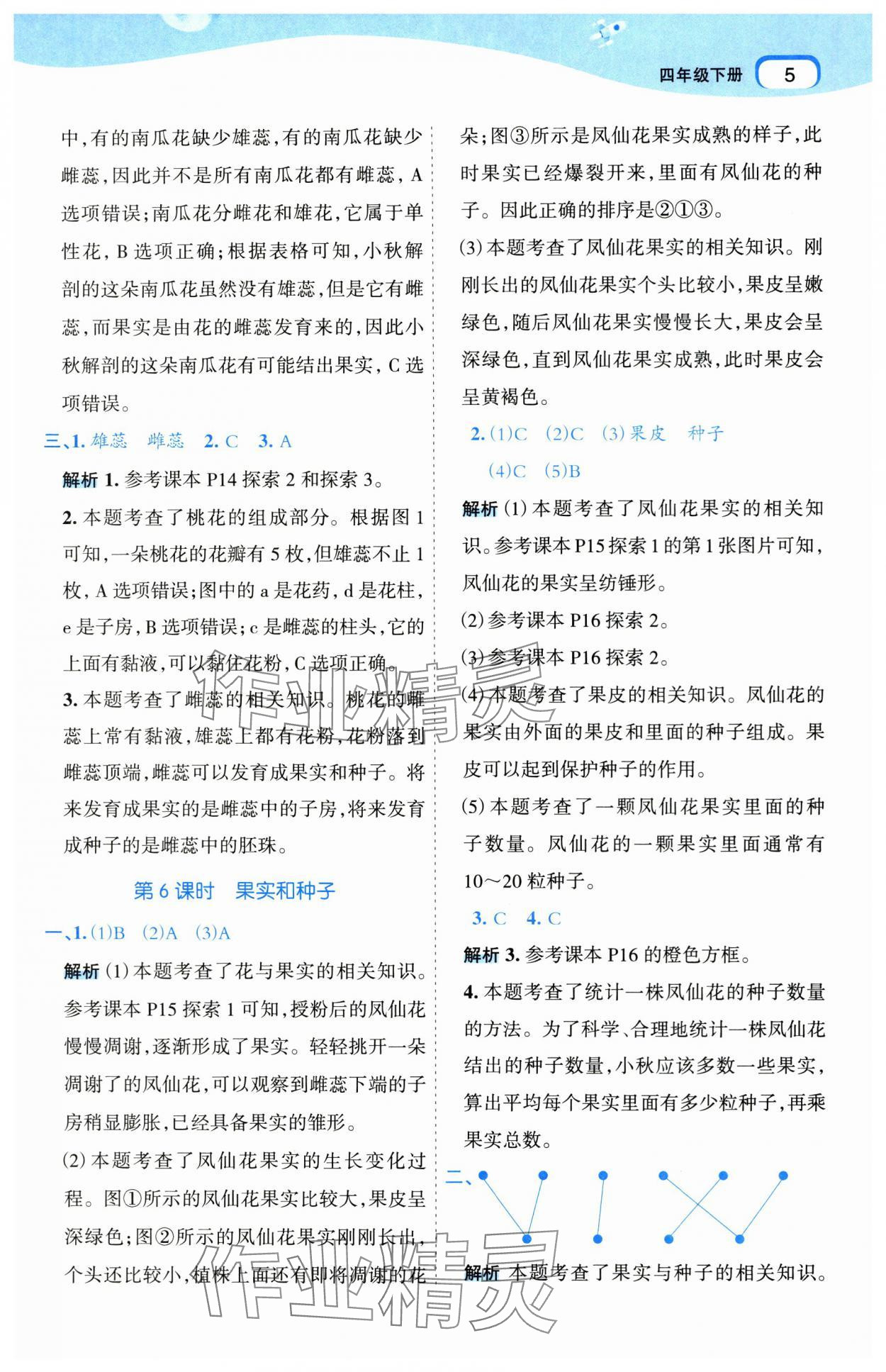 2025年名師面對面科學(xué)滿分寶四年級下冊教科版 參考答案第5頁