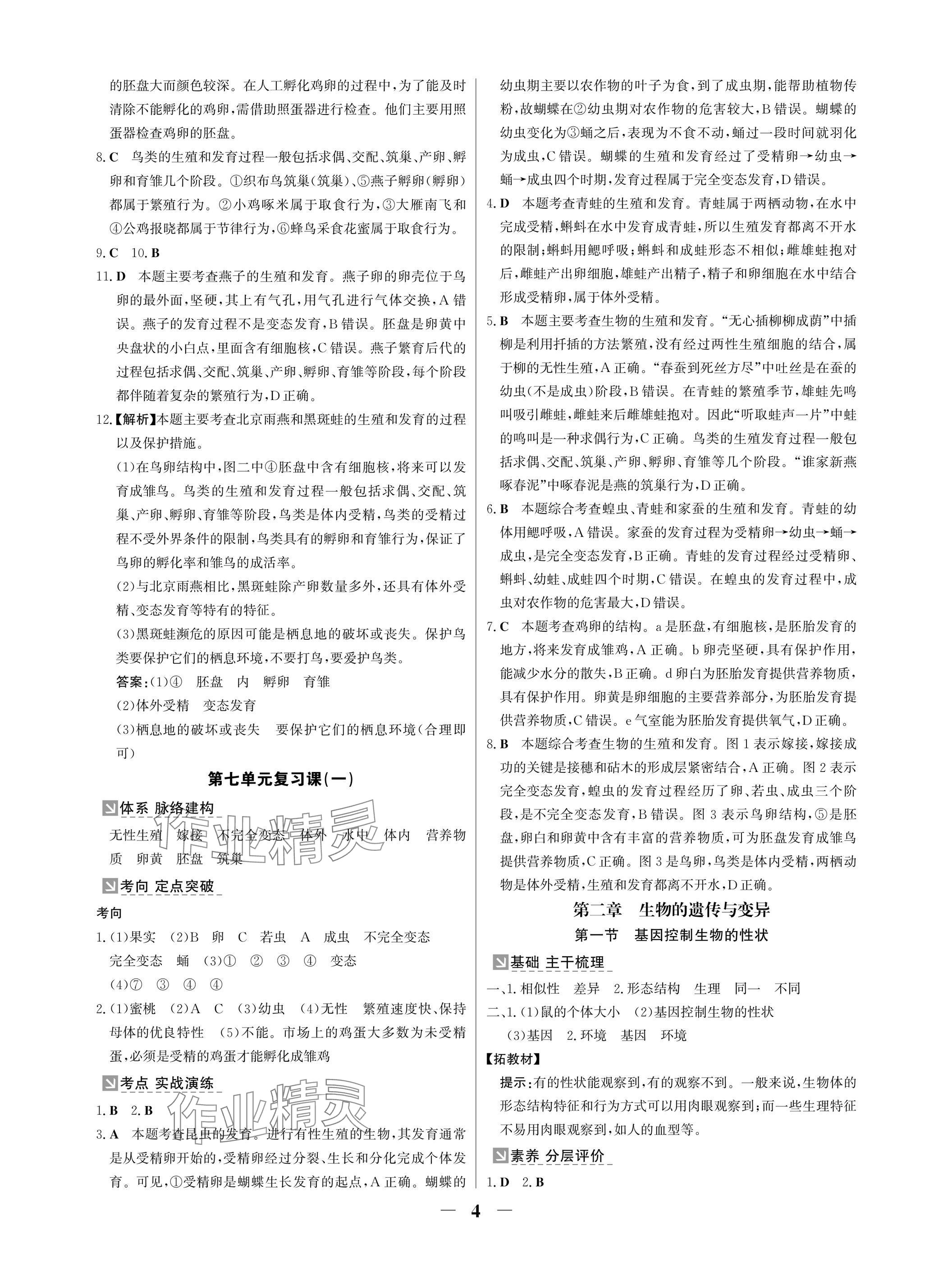 2025年南方新課堂金牌學案八年級生物下冊人教版深圳專版 參考答案第4頁