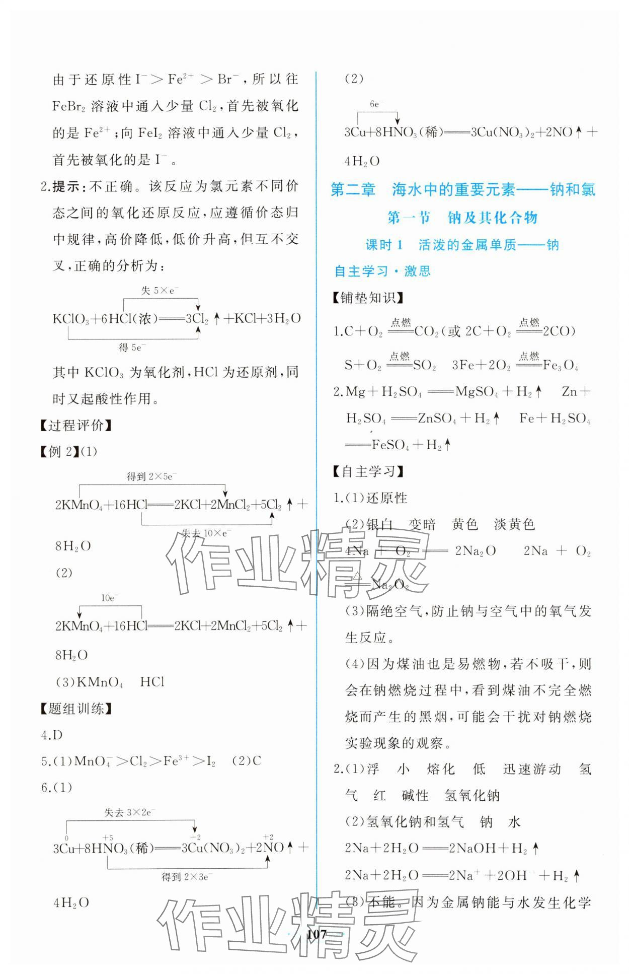 2023年新課程學(xué)習(xí)評價方案課時練高中化學(xué)必修第一冊人教版 第9頁