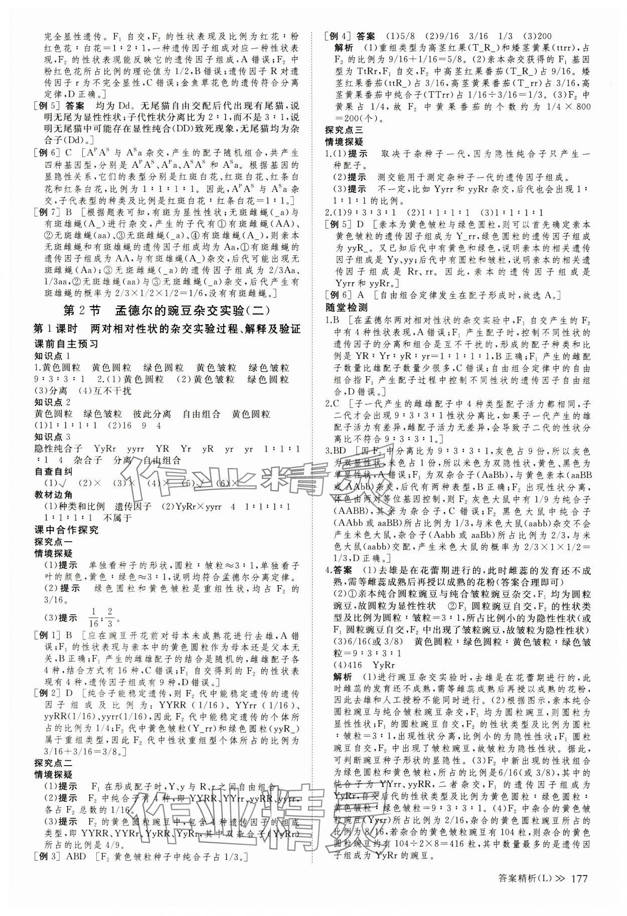 2023年創(chuàng)新設(shè)計創(chuàng)新課堂生物必修2遺傳與進(jìn)化人教版 參考答案第12頁