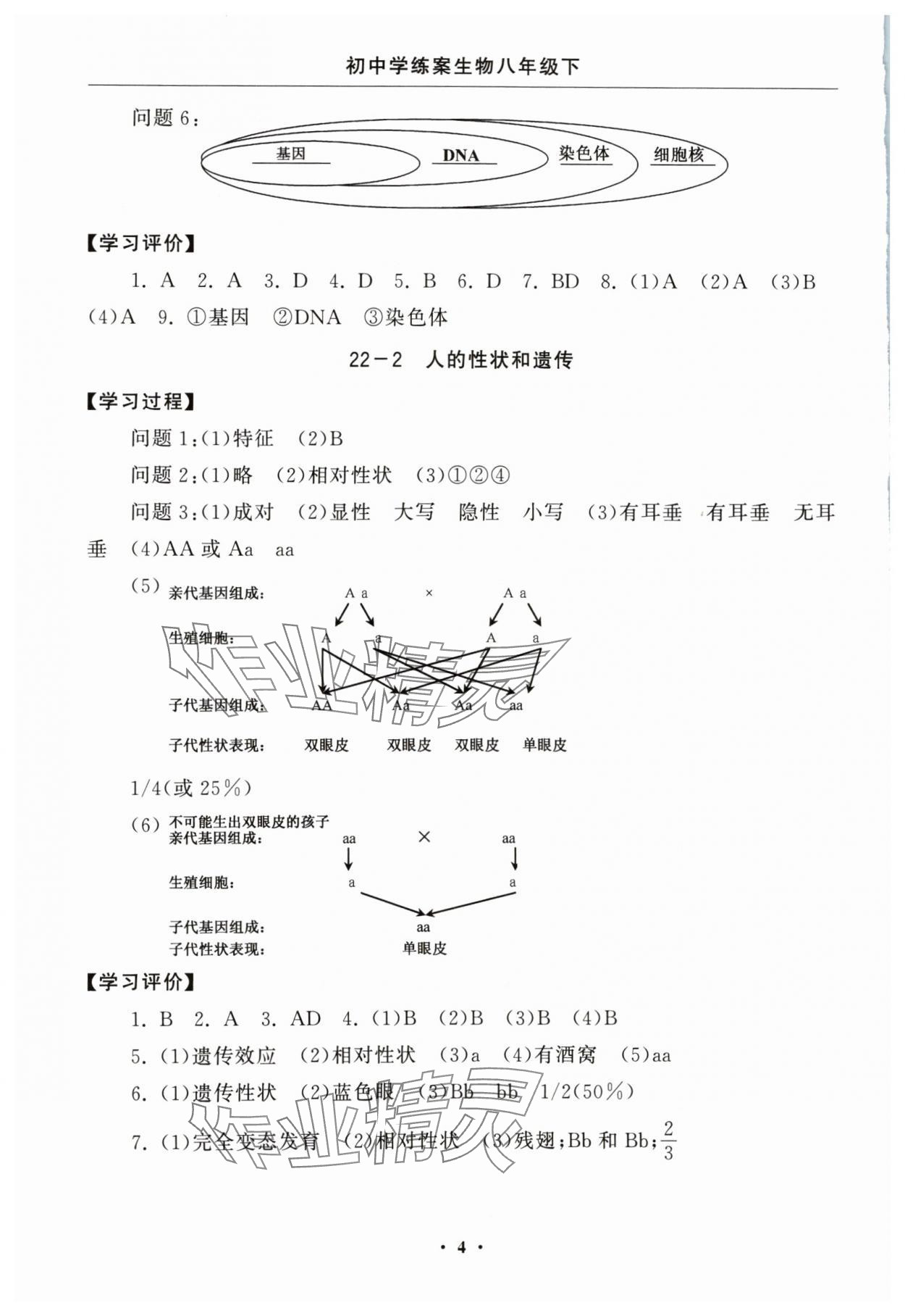 2024年初中学练案八年级生物下册苏教版 参考答案第4页