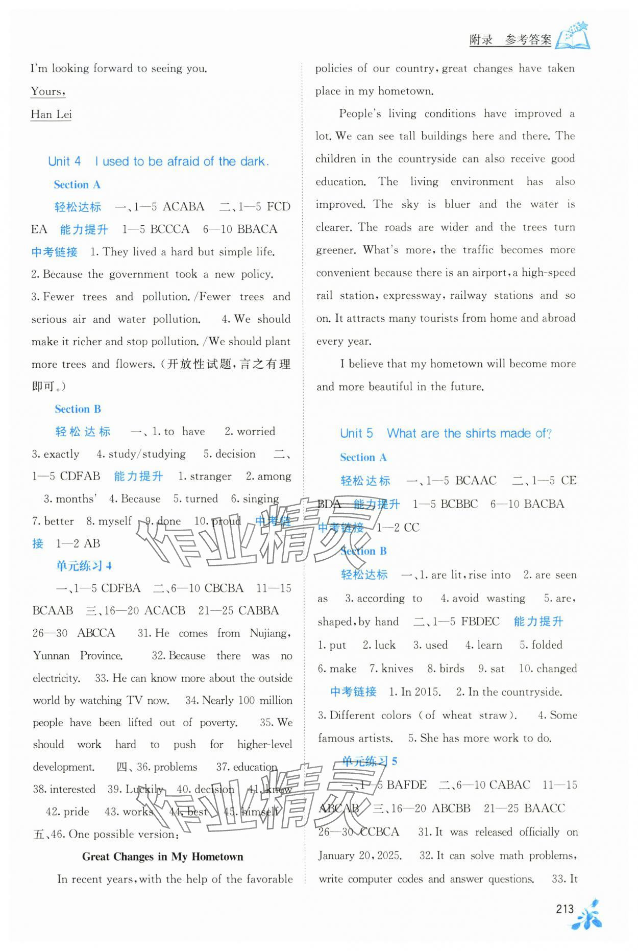 2025年自主学习能力测评九年级英语全一册人教版 第3页