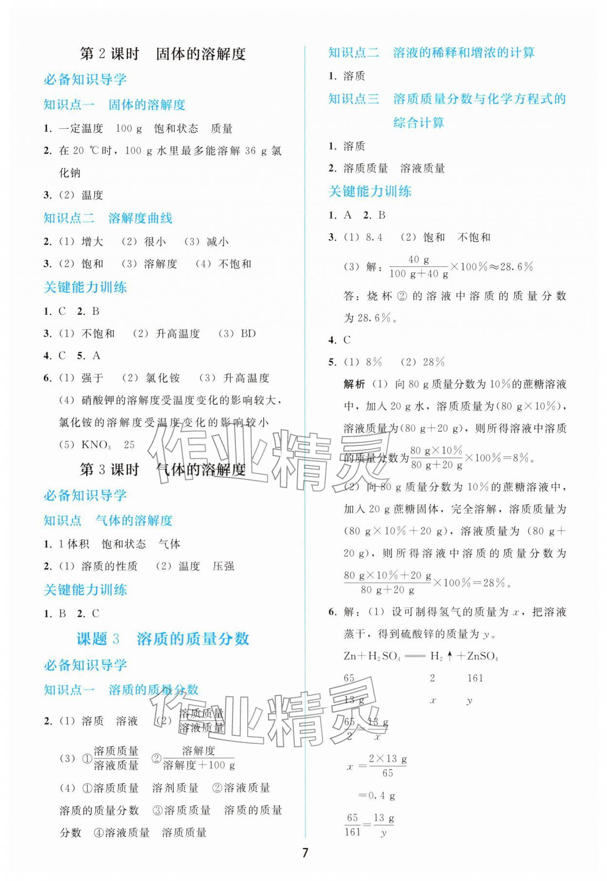 2026年同步轻松练习九年级化学下册人教版&nbsp;第7页