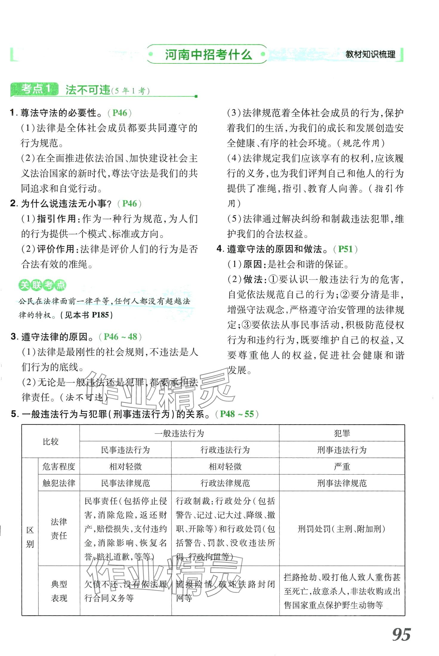 2024年領(lǐng)揚(yáng)文化中考研究道德與法治河南專版 第95頁