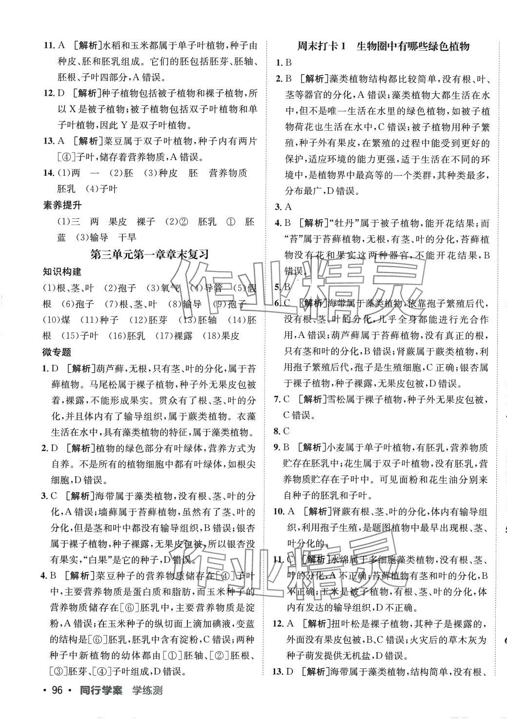 2024年同行学案六年级生物下册鲁科版 第3页