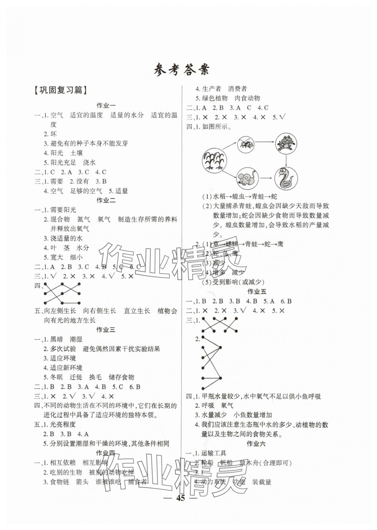 2025年金峰教育假期作业暑假作业五年级科学教科版 第1页