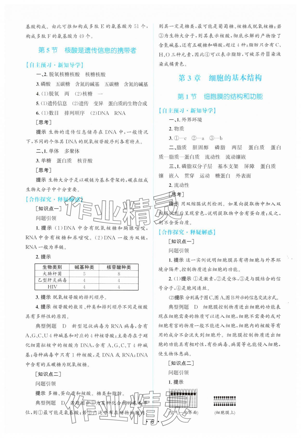 2025年高中同步测控优化设计高中生物必修1人教版 参考答案第5页