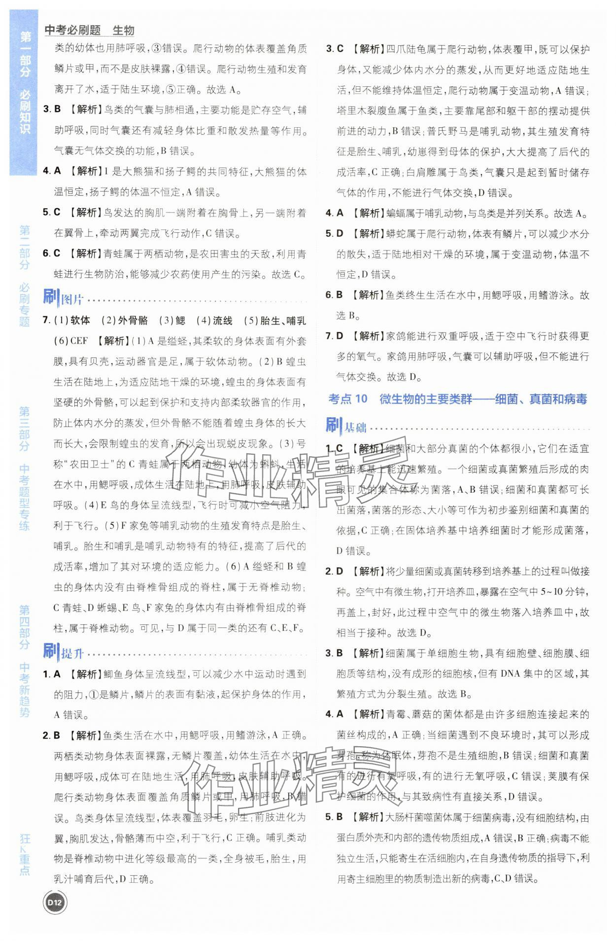 2024年中考必刷题开明出版社生物&nbsp;第12页