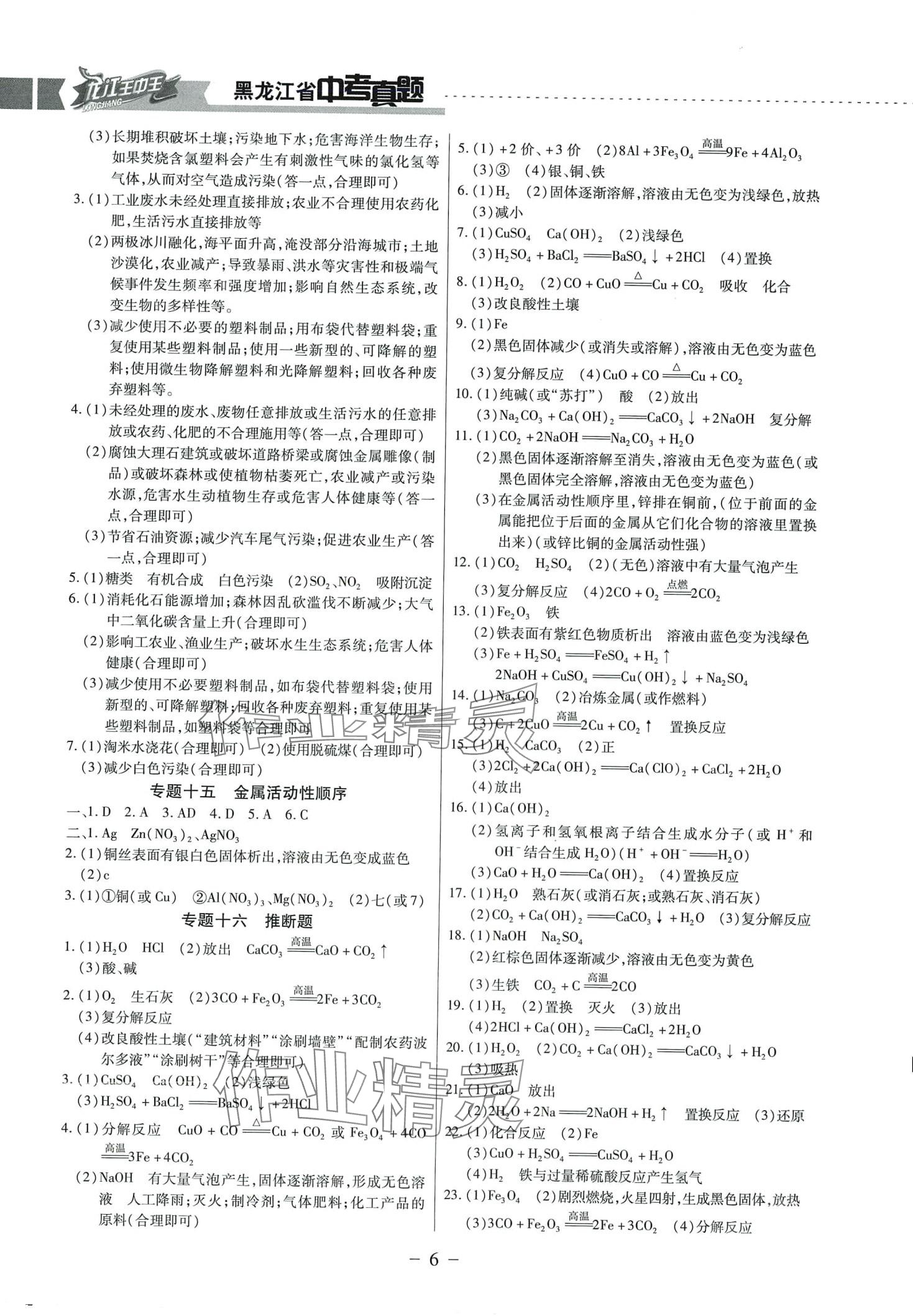 2024年龍江王中王5年真題分類(lèi)匯編化學(xué)黑龍江專(zhuān)版 第6頁(yè)