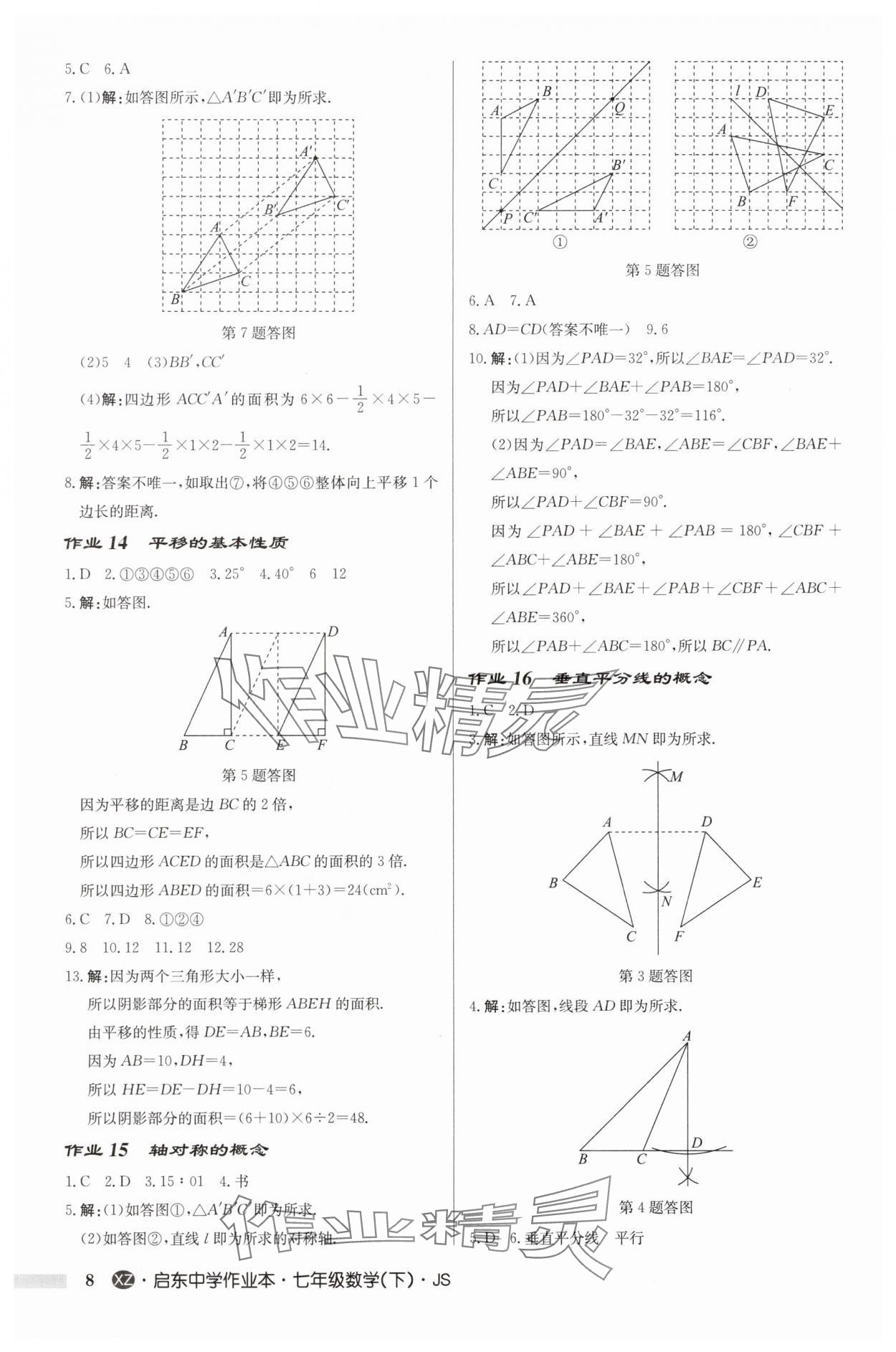 2025年啟東中學(xué)作業(yè)本七年級(jí)數(shù)學(xué)下冊(cè)蘇科版徐州專版 第8頁(yè)