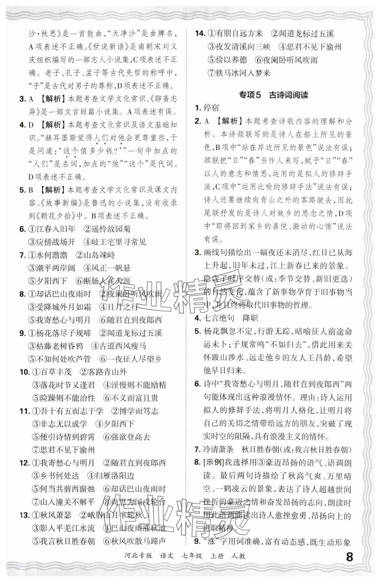 2024年王朝霞各地期末試卷精選七年級語文上冊人教版河北專版 參考答案第8頁