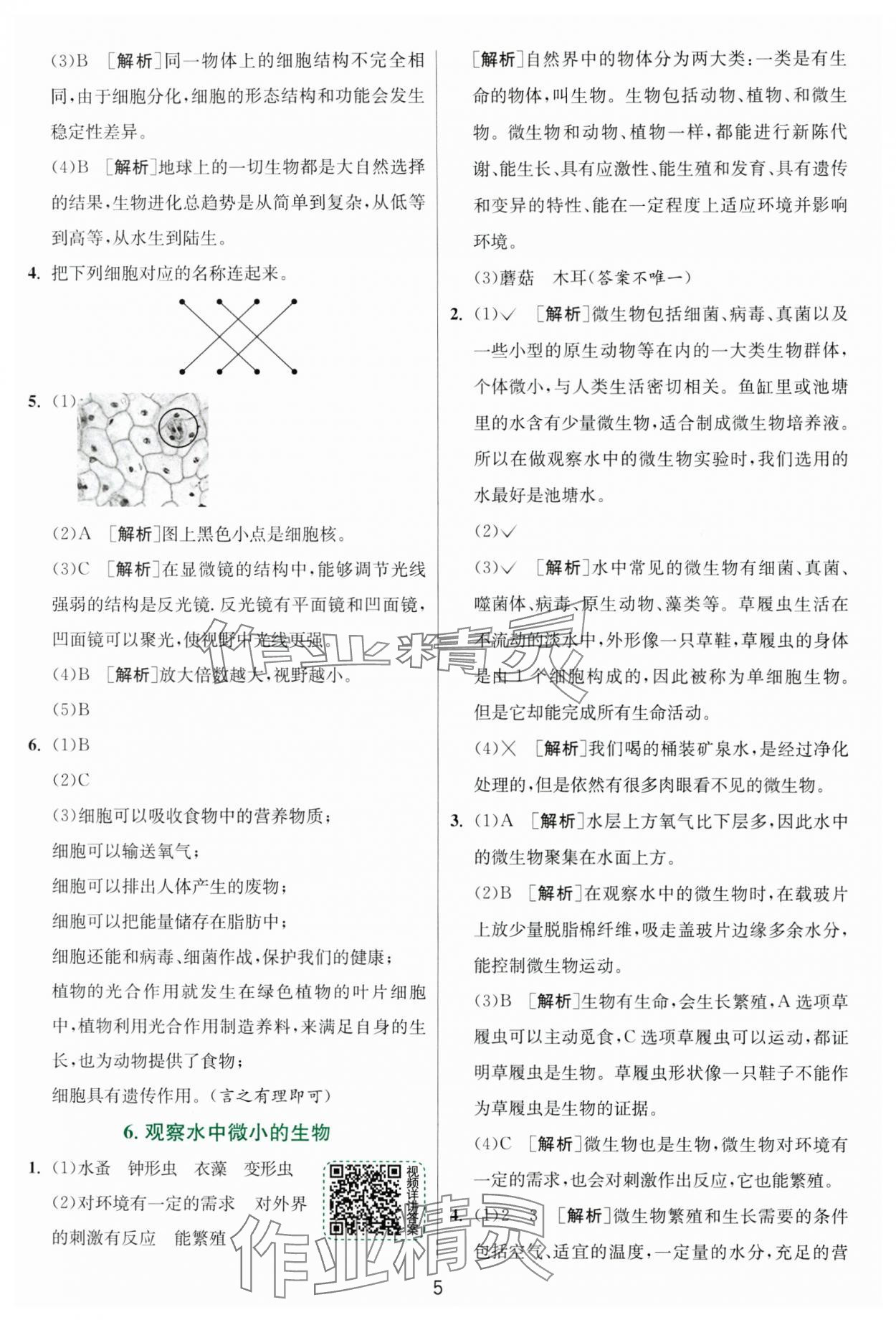 2024年實驗班提優(yōu)訓(xùn)練六年級科學(xué)上冊教科版浙江專版 第5頁