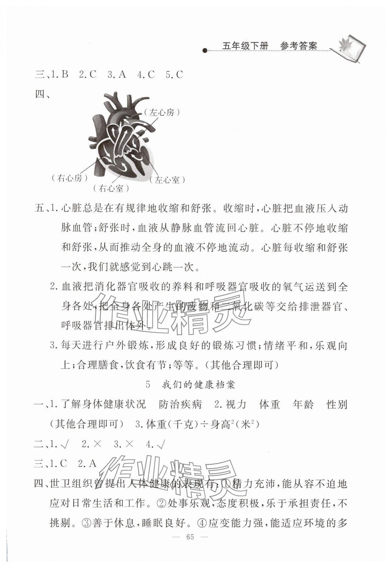 2025年同步練習(xí)冊山東科學(xué)技術(shù)出版社五年級科學(xué)下冊青島版 第3頁