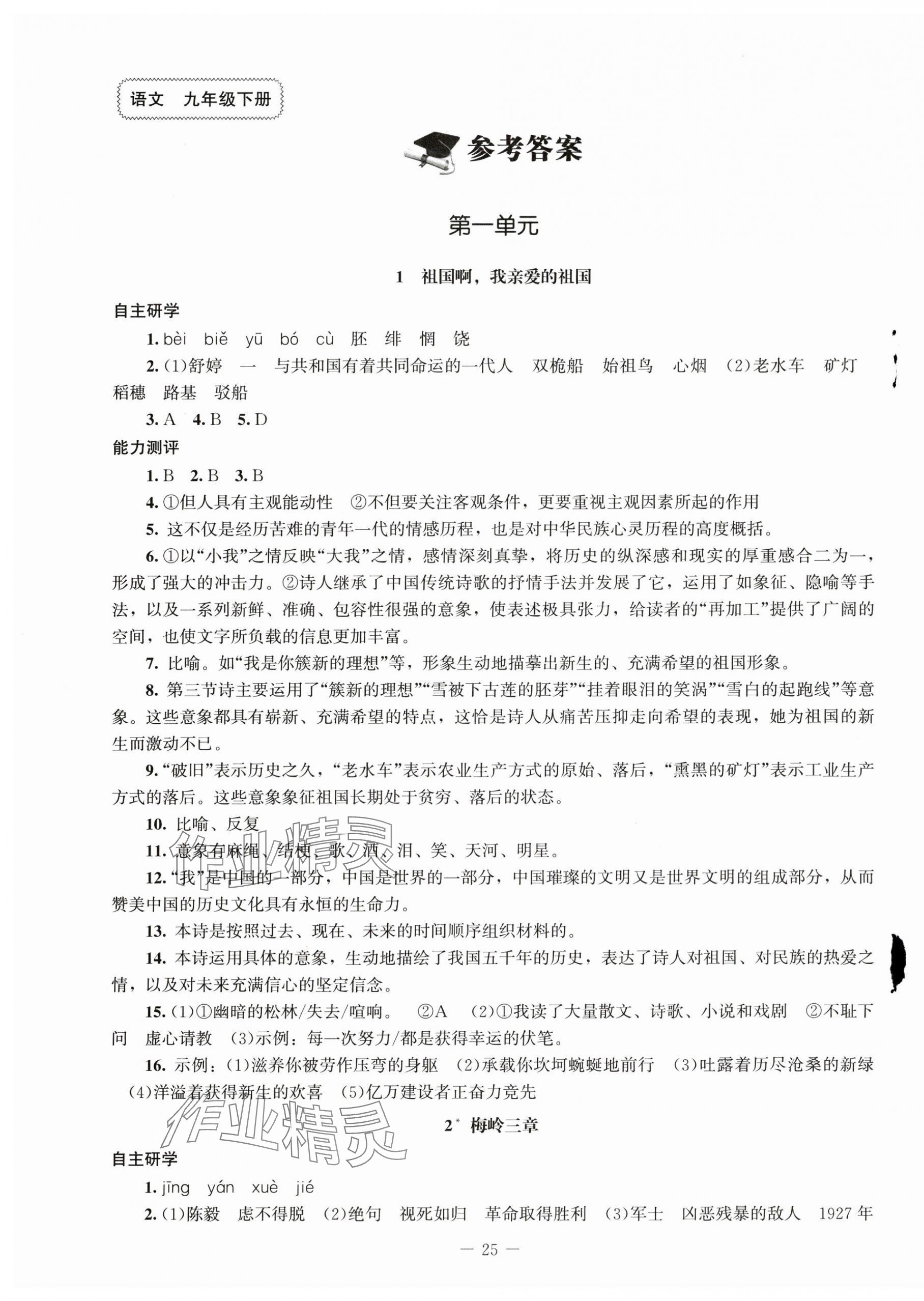 2025年同步練習(xí)冊九年級語文下冊人教版北京師范大學(xué)出版社 第1頁