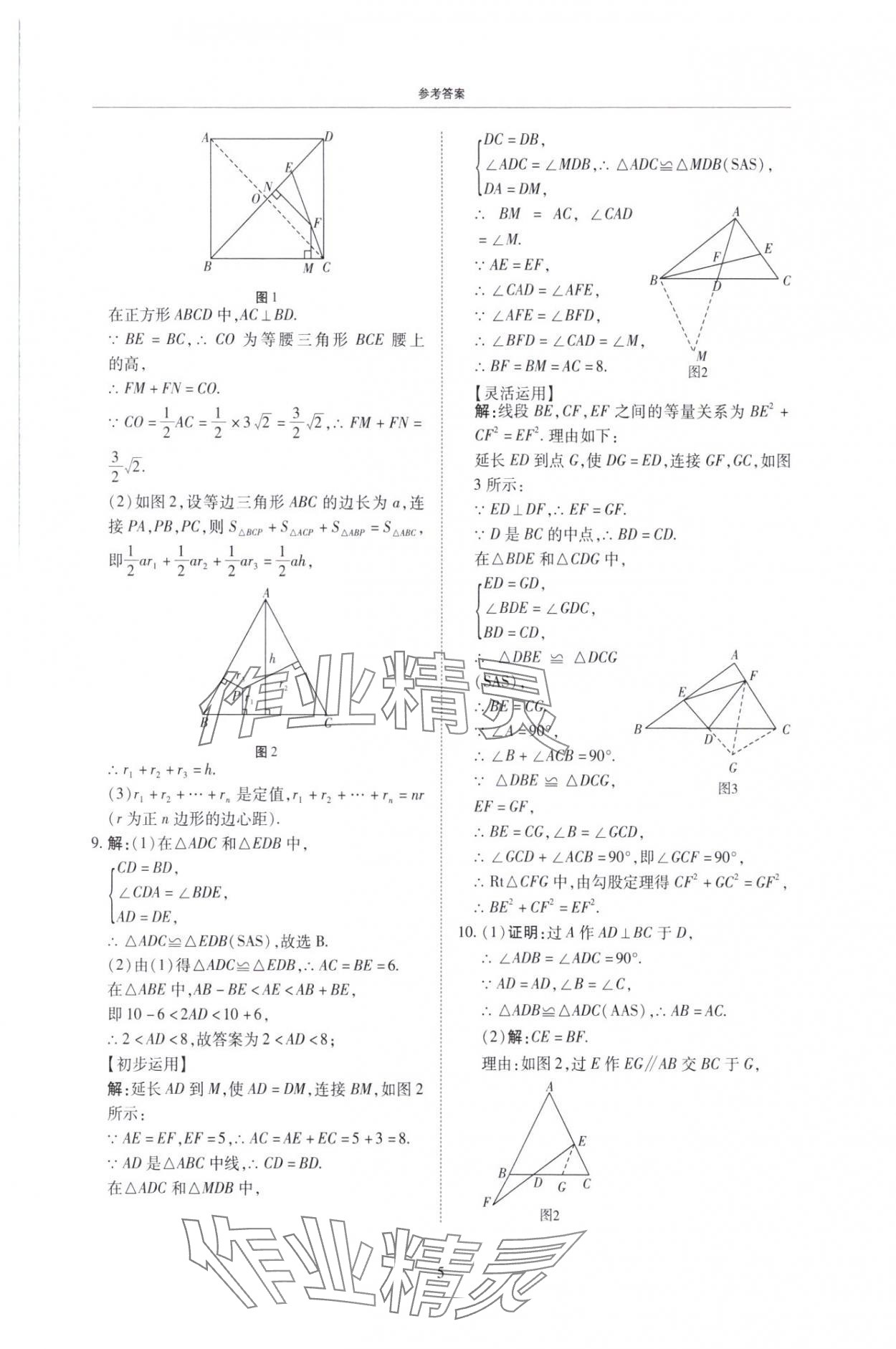 2025年复习直通车期末复习与假期作业八年级数学北师大版 第5页
