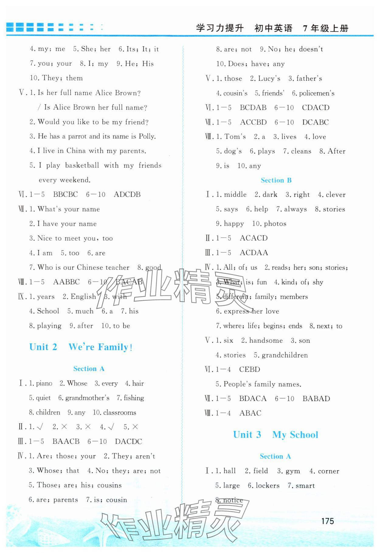 2024年學(xué)習(xí)力提升七年級英語上冊人教版 第3頁