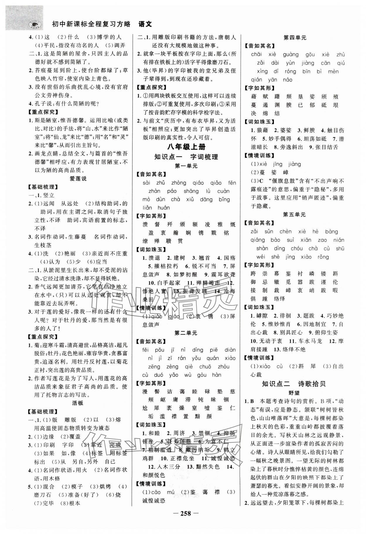 2025年世紀(jì)金榜初中全程復(fù)習(xí)方略語文江蘇專版 參考答案第5頁