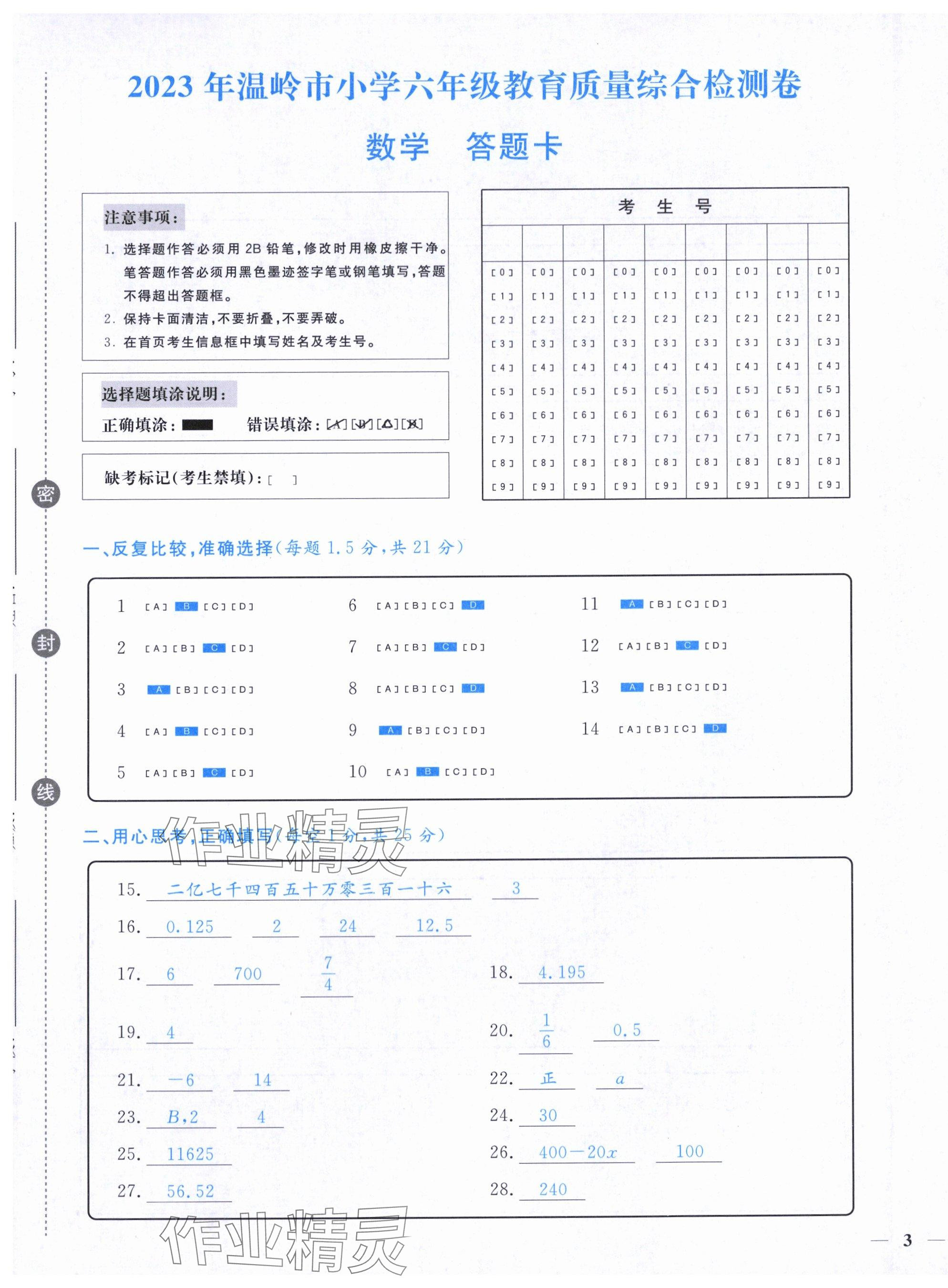 2024年小学期末加油站六年级数学下册人教版 第5页