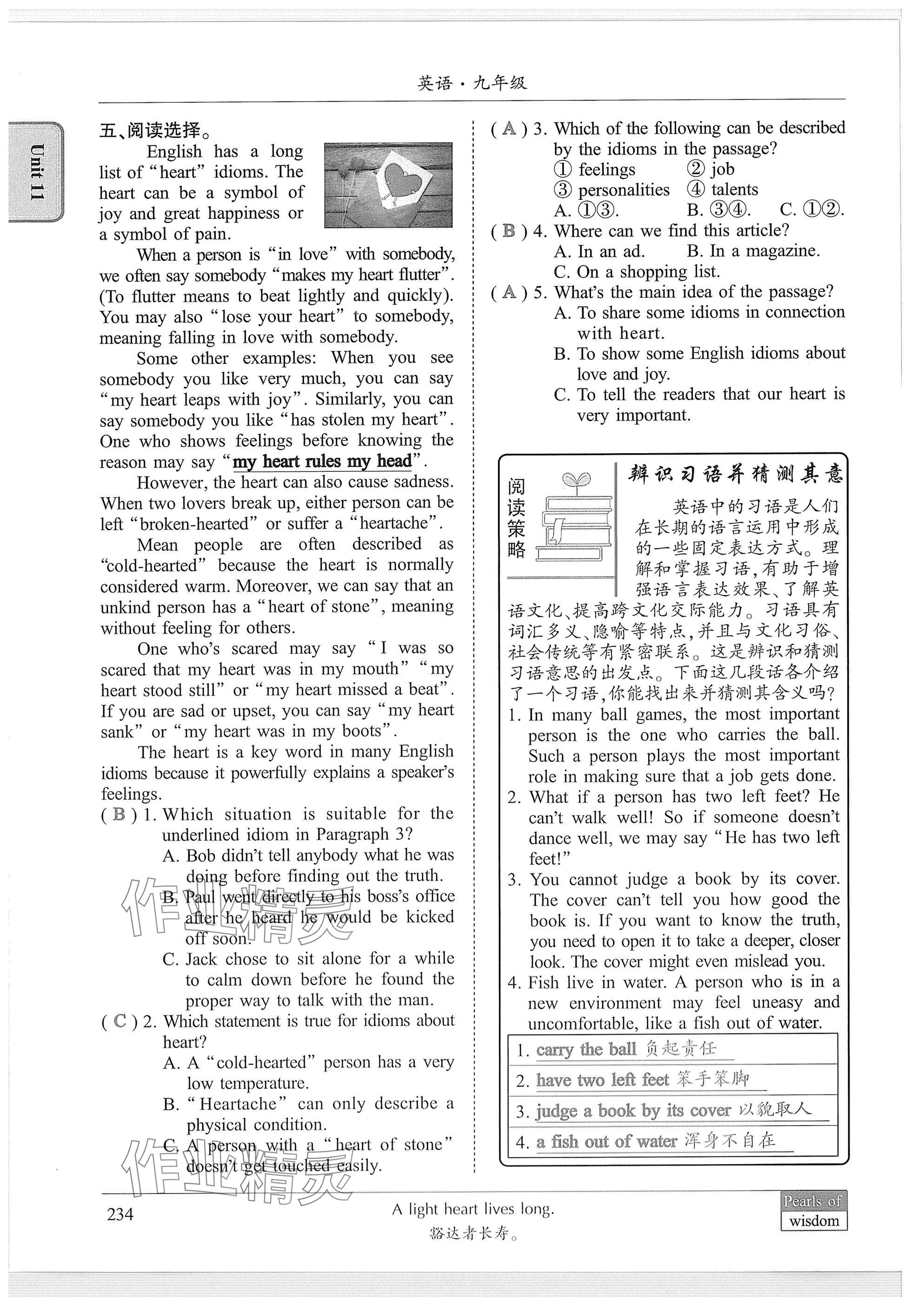 2025年新視界初中英語(yǔ)九年級(jí)英語(yǔ)下冊(cè)人教版 參考答案第14頁(yè)