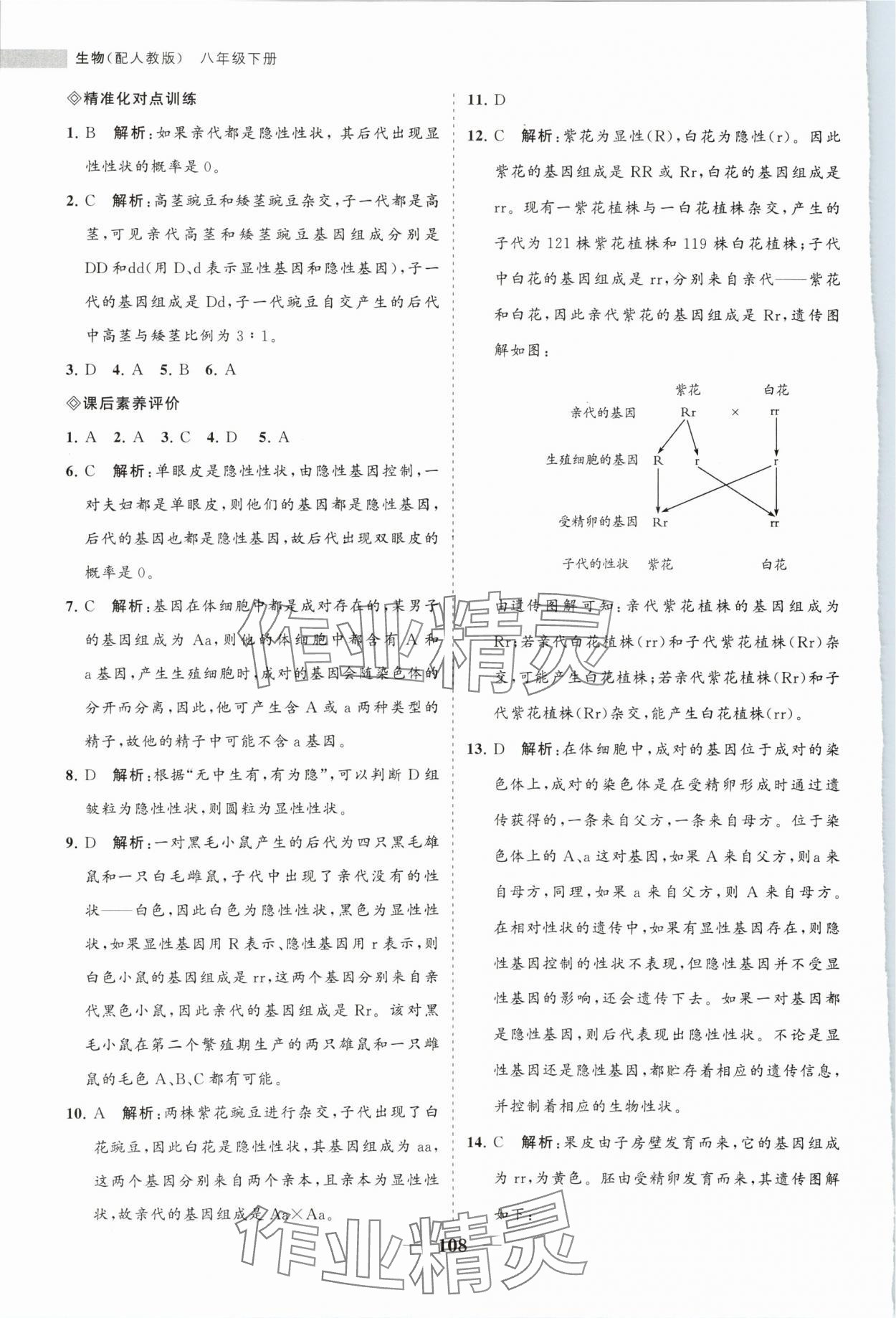 2024年新课程同步练习册八年级生物下册人教版 第8页