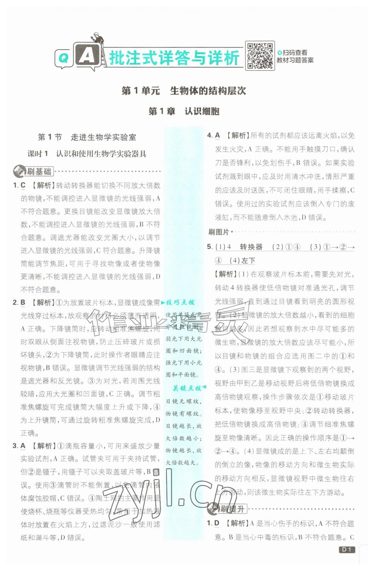 2026年初中必刷题七年级生物上册苏教版&nbsp;第1页