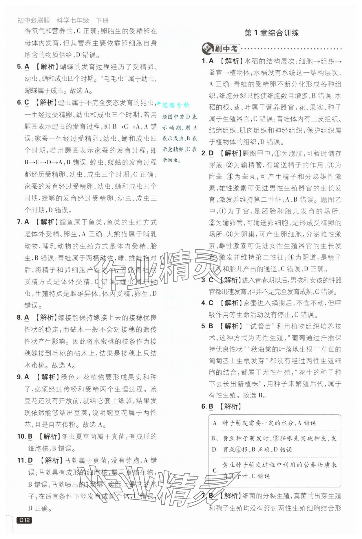 2025年初中必刷題七年級(jí)科學(xué)下冊(cè)浙教版浙江專版 參考答案第12頁