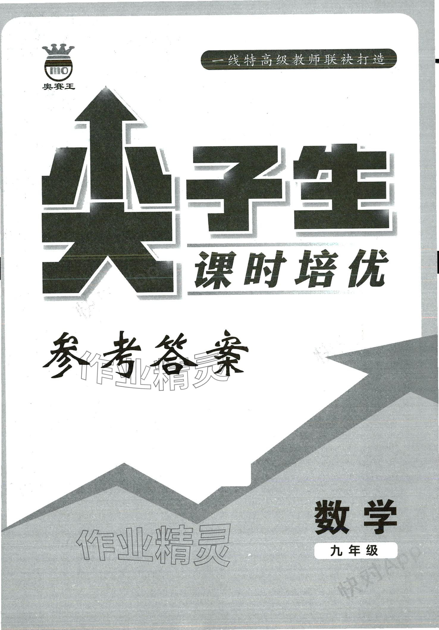 2024年尖子生課時培優(yōu)九年級數(shù)學全一冊人教版 第1頁