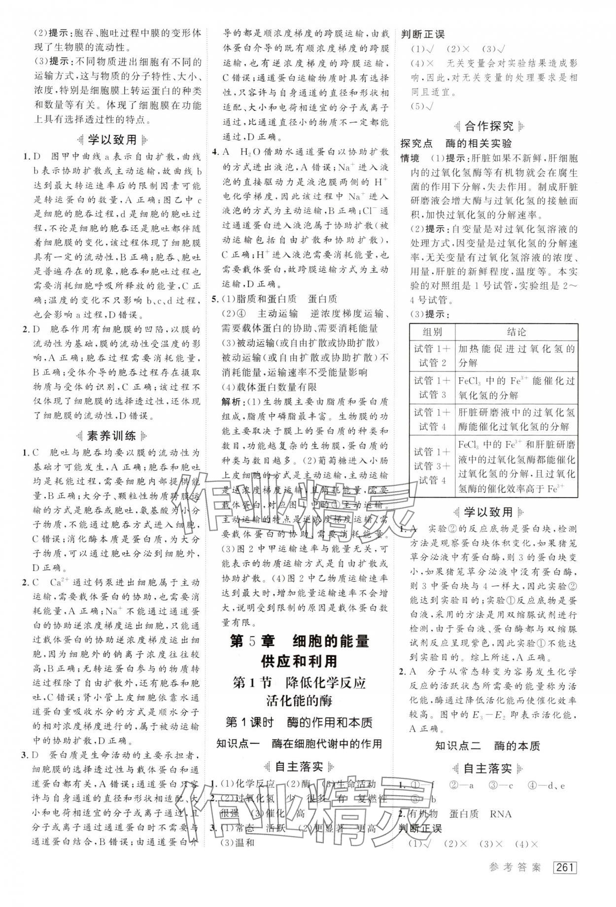 2024年紅對(duì)勾講與練高中生物必修1人教版 第15頁