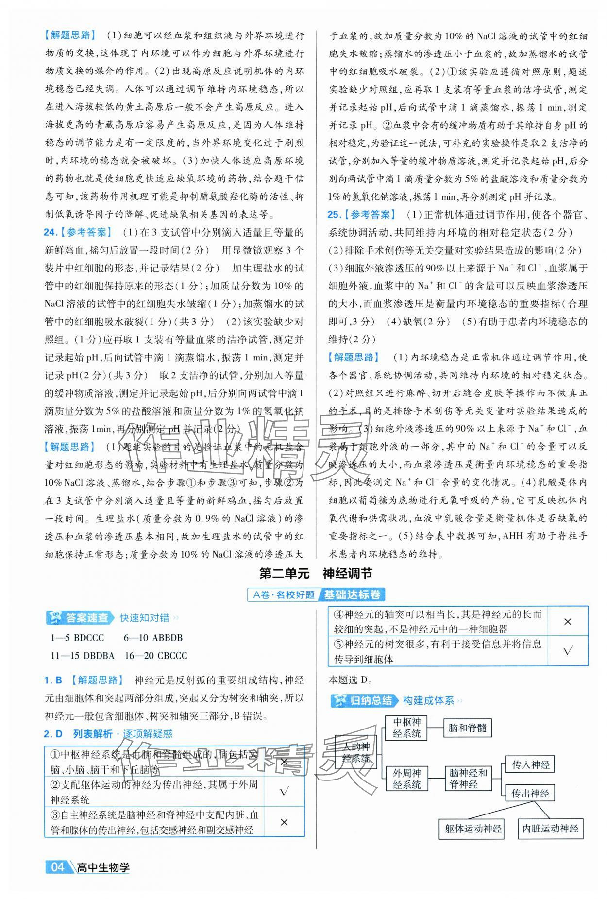 2025年金考卷活頁(yè)題選高中生物選擇性必修1人教版 第4頁(yè)